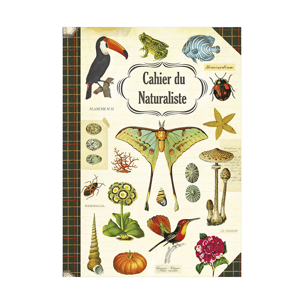 Cahier imagier - Naturaliste