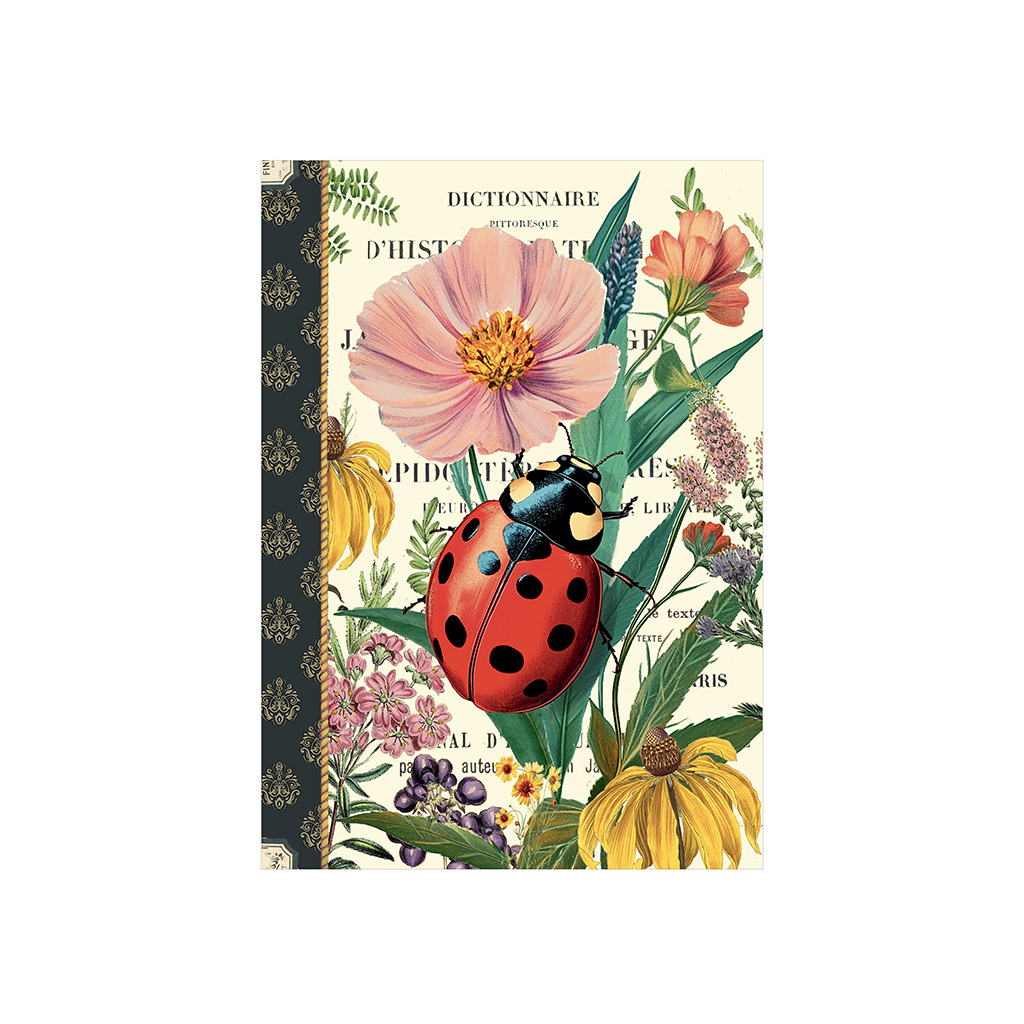 Carnet mots de passe - Coccinelle