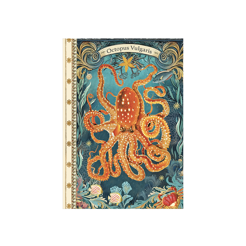 Carnet mots de passe - Octopus
