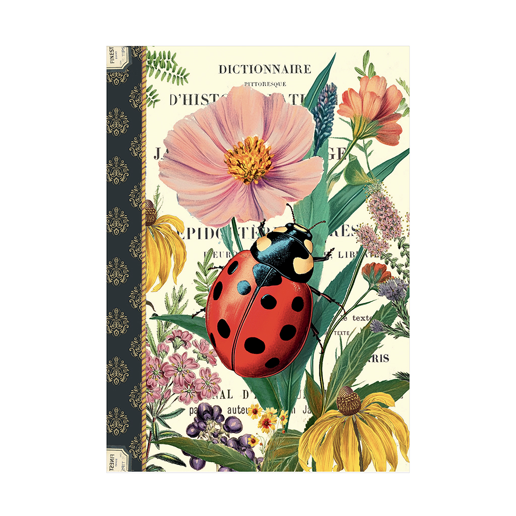 Cahier à thème - Notes Coccinelle