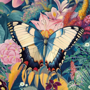 Papillons