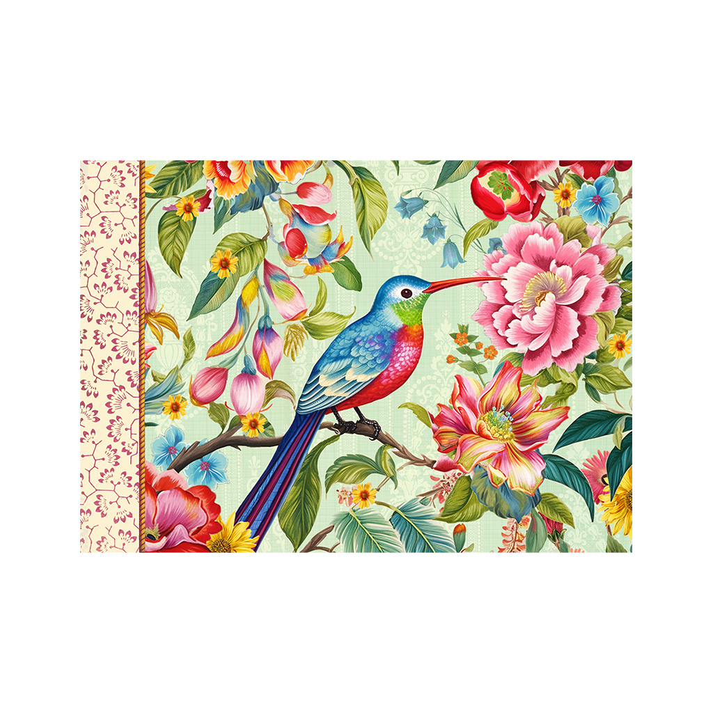 Cahier illustré - Oiseaux