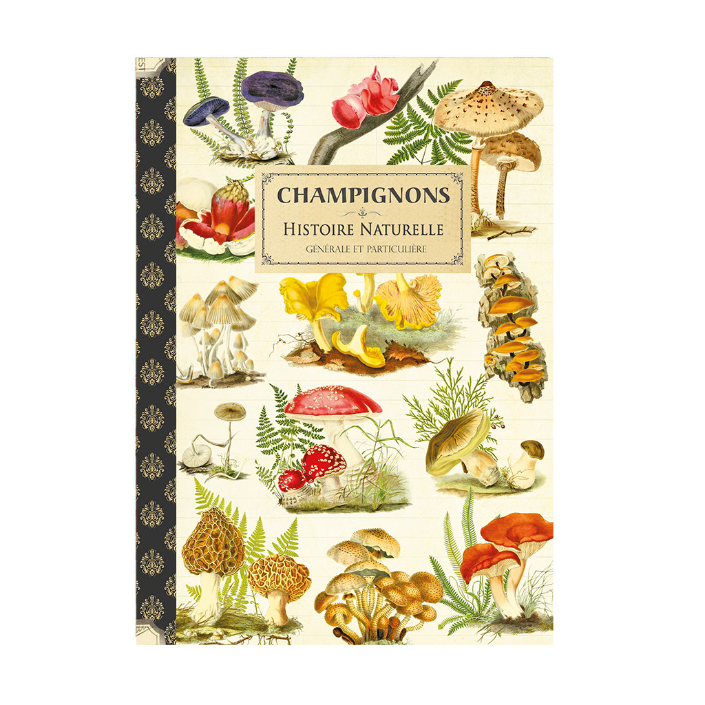 Cahier imagier - Champignons