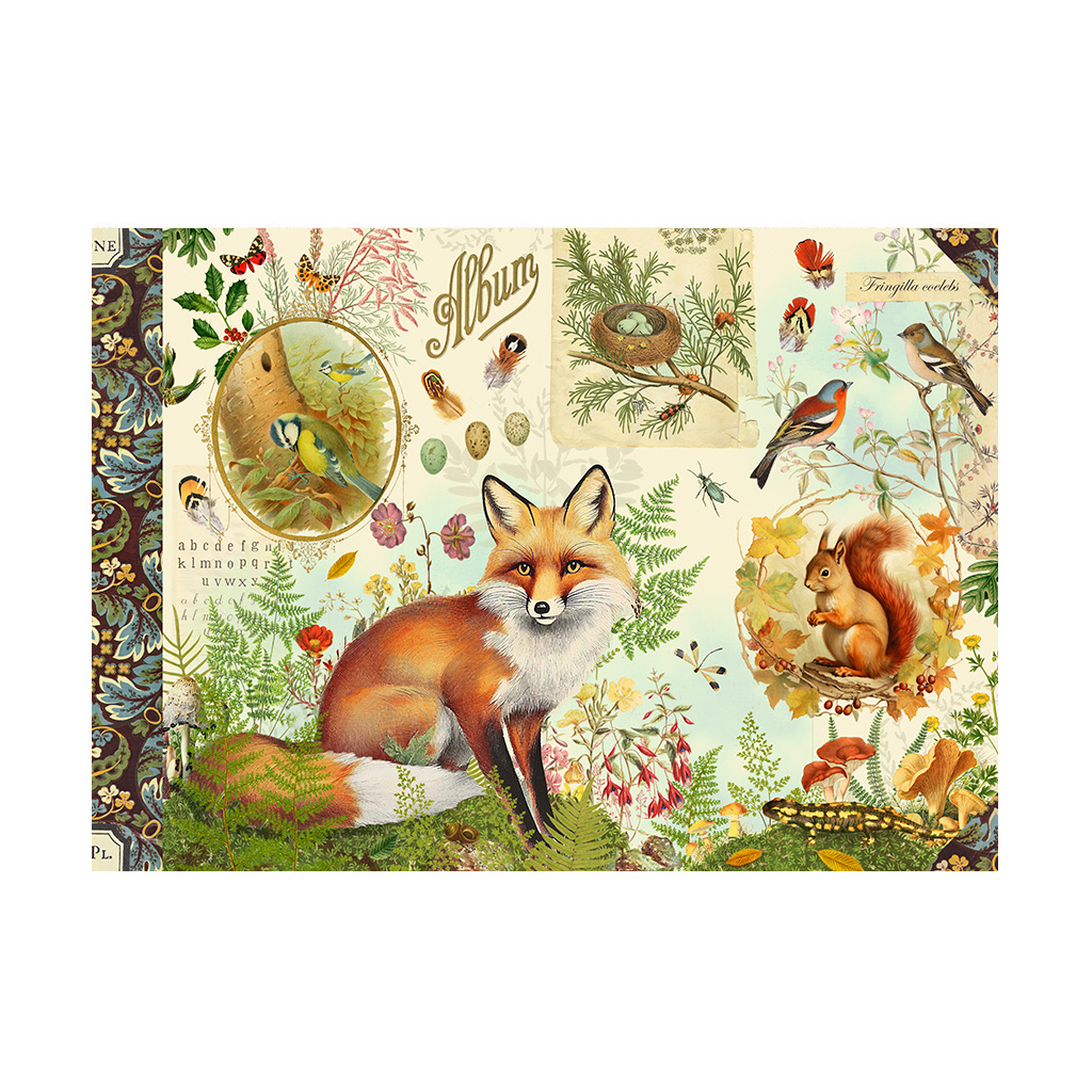 Cahier illustré - Forêt