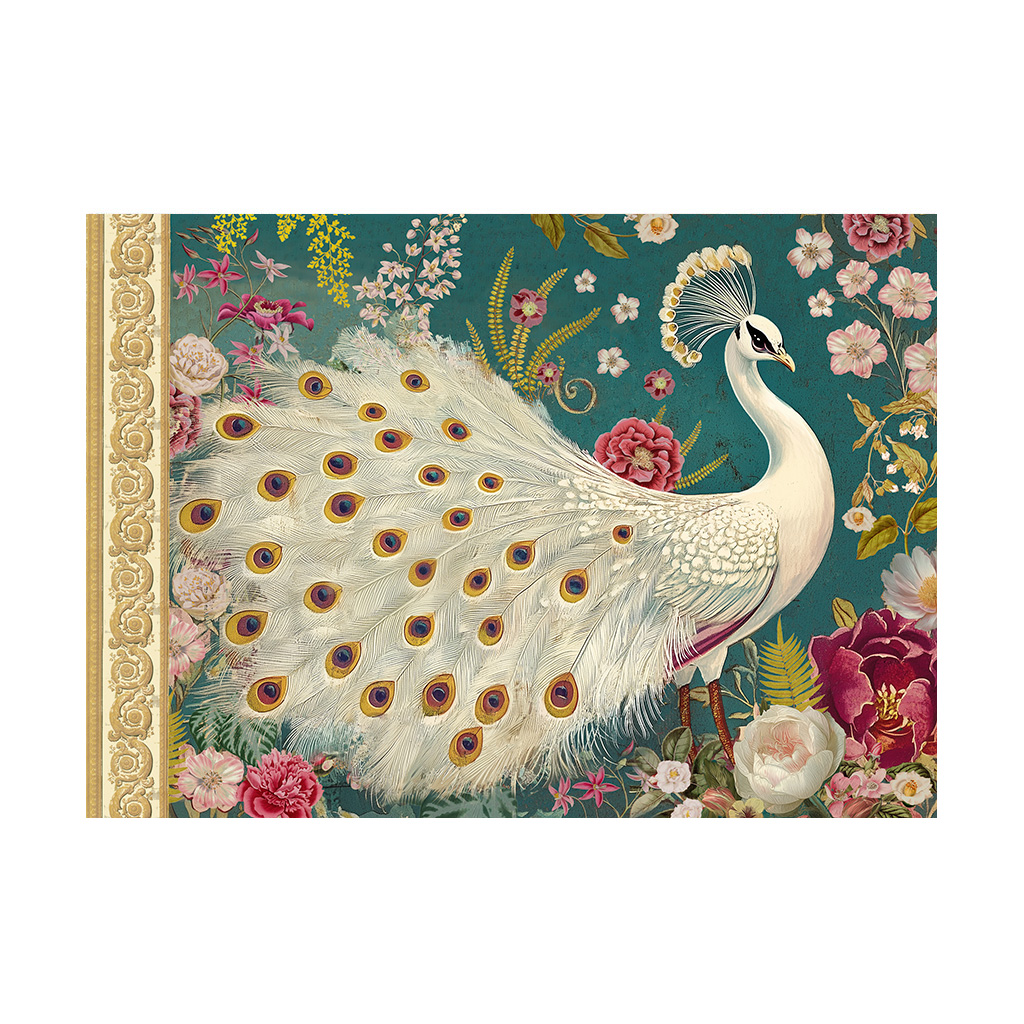 Cahier illustré - Kanti paon blanc