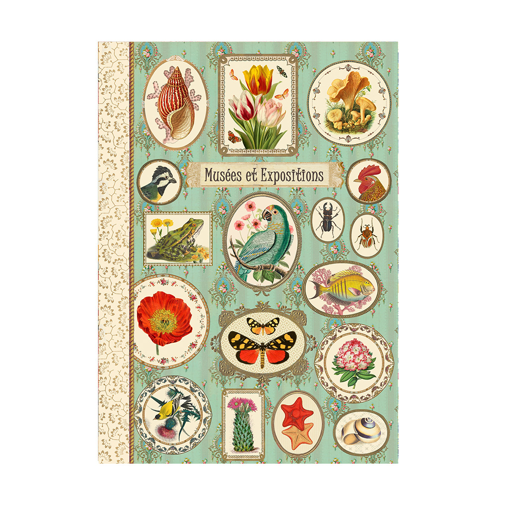 Cahier à thème - Expositions