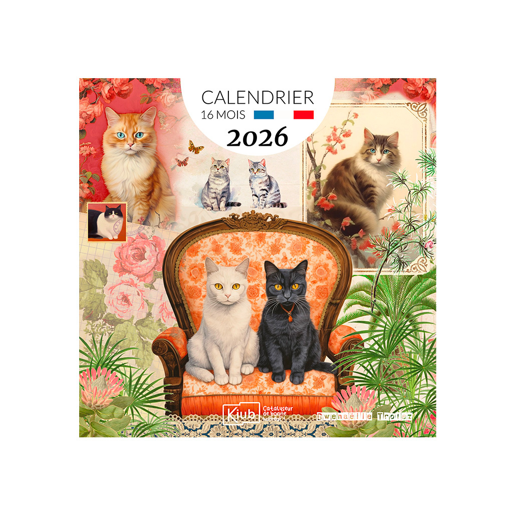 Calendrier classique 16 mois - Chats