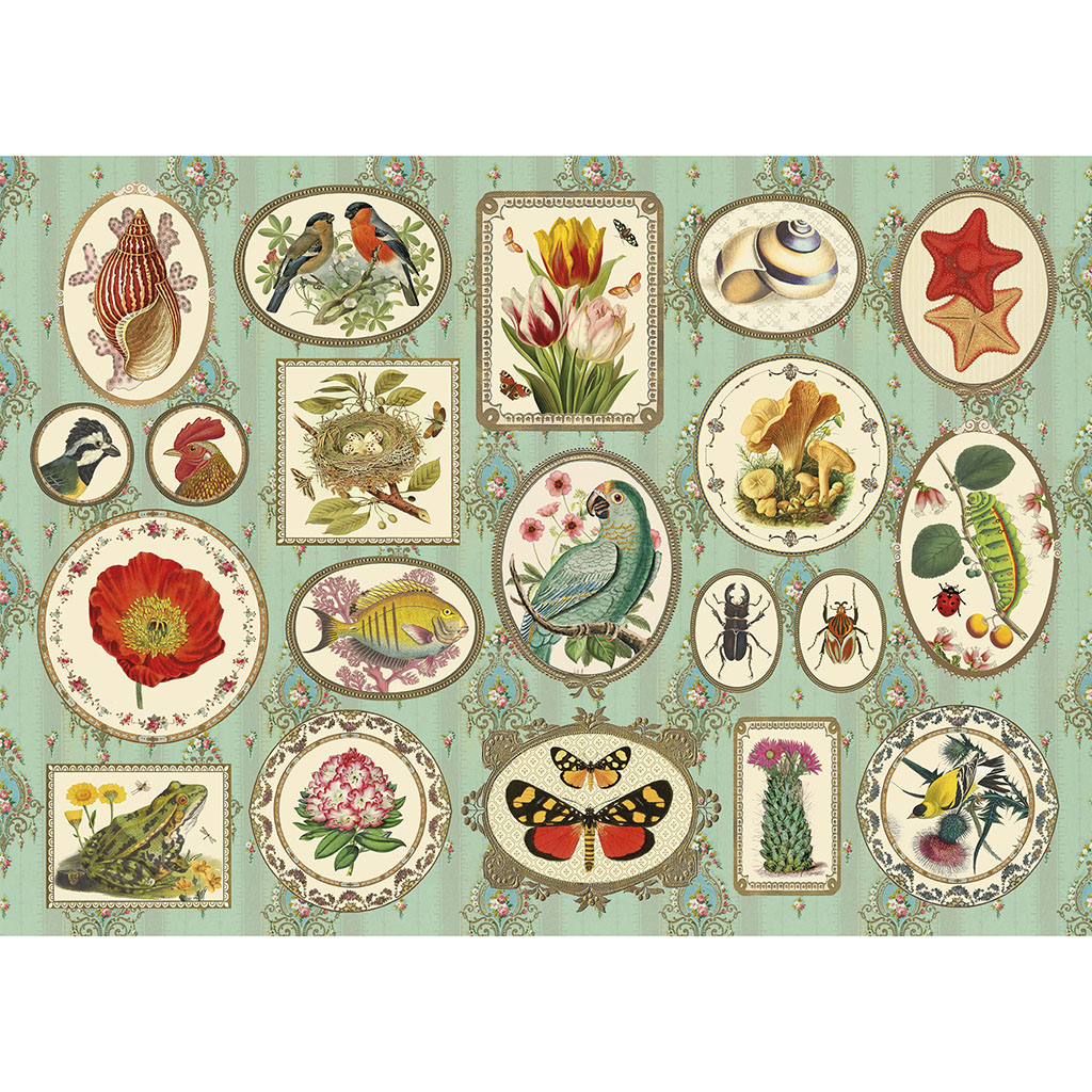 Puzzle 1000 pièces - Naturaliste