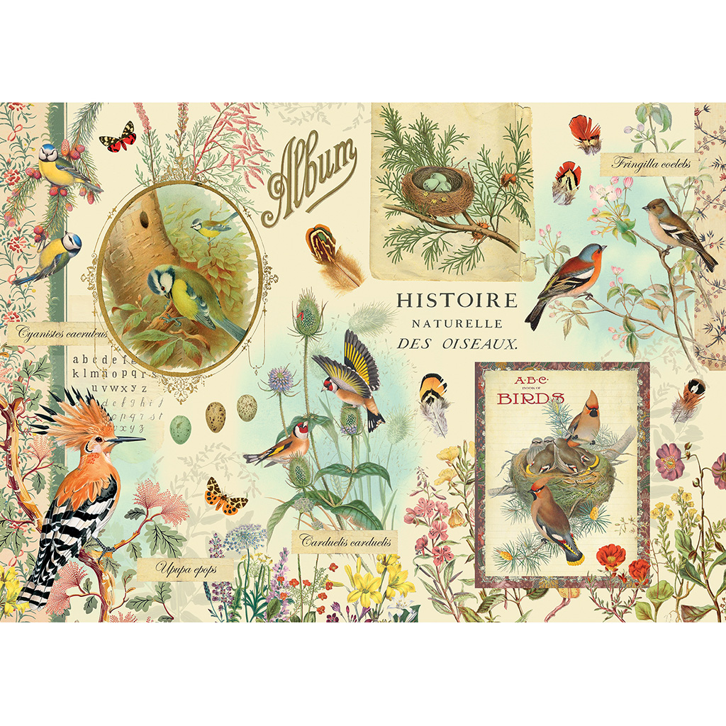 Puzzle 1000 pièces - Oiseaux