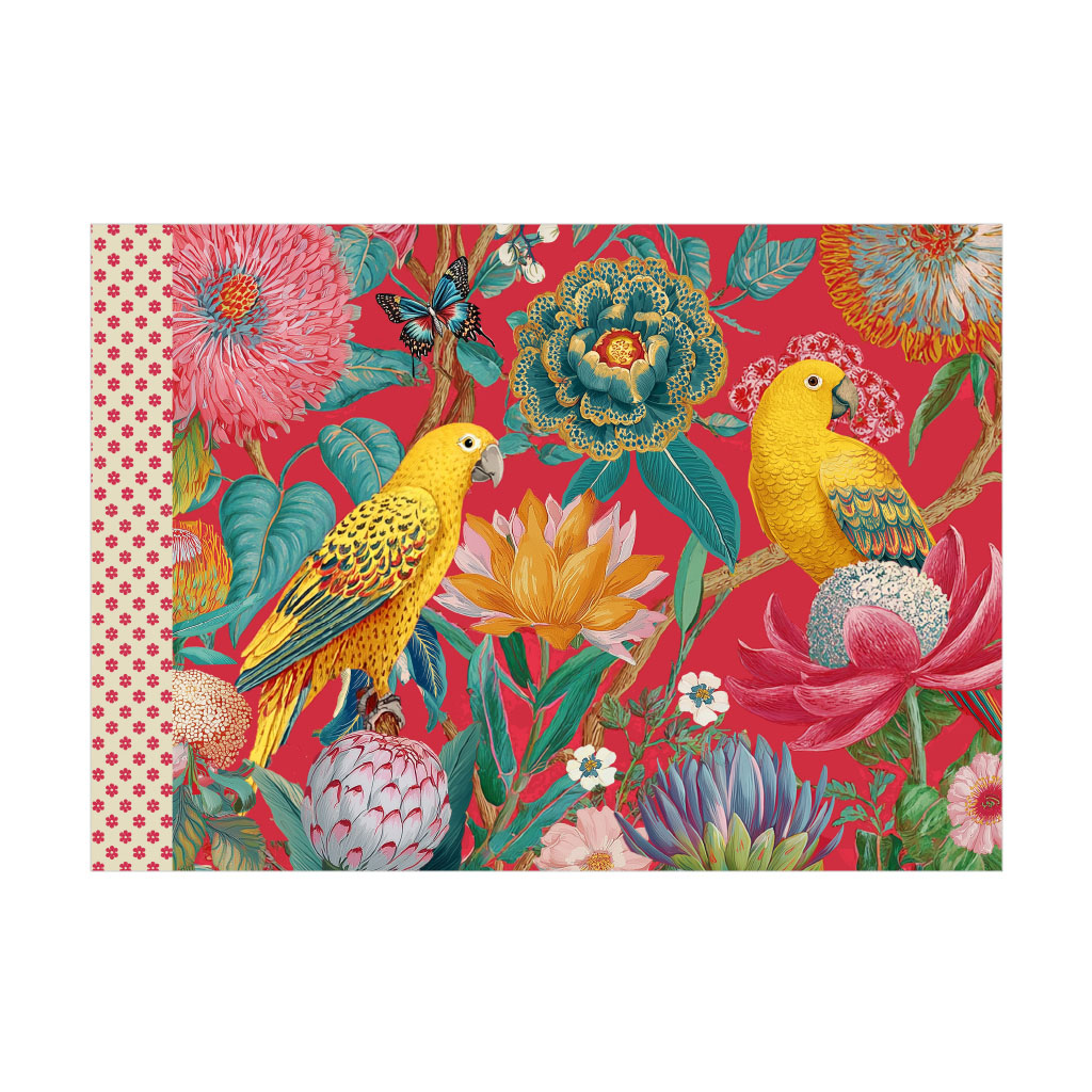 Cahier illustré - Perroquet