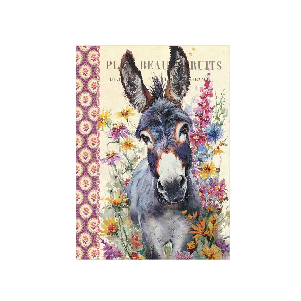 Carnet de notes – Âne